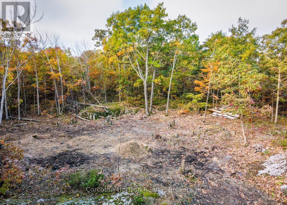 Lot A - 87 Corrievale Rd, Georgian Bay, Ontario  L0K 1S0 - Photo 3 - X11897988
