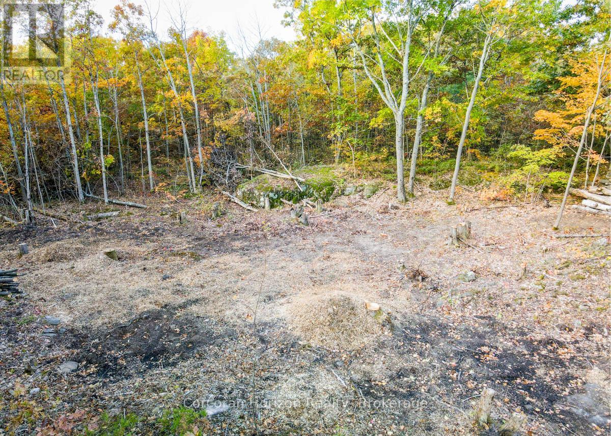 Lot A - 87 Corrievale Rd, Georgian Bay, Ontario  L0K 1S0 - Photo 4 - X11897988