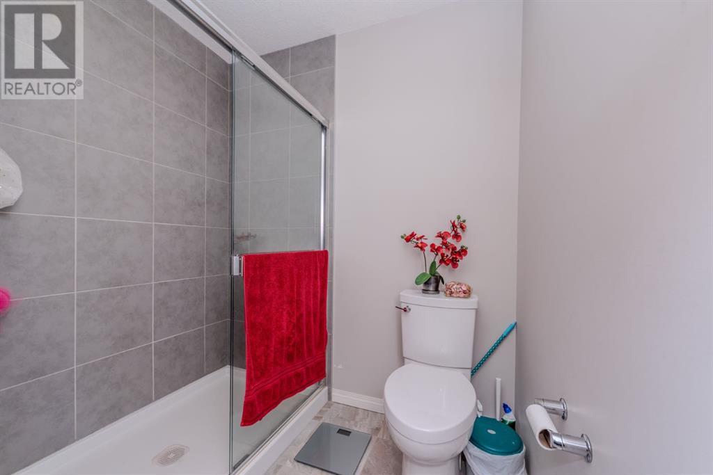 17 Red Embers Row Ne, Calgary, Alberta  T3N 0R3 - Photo 37 - A2180745