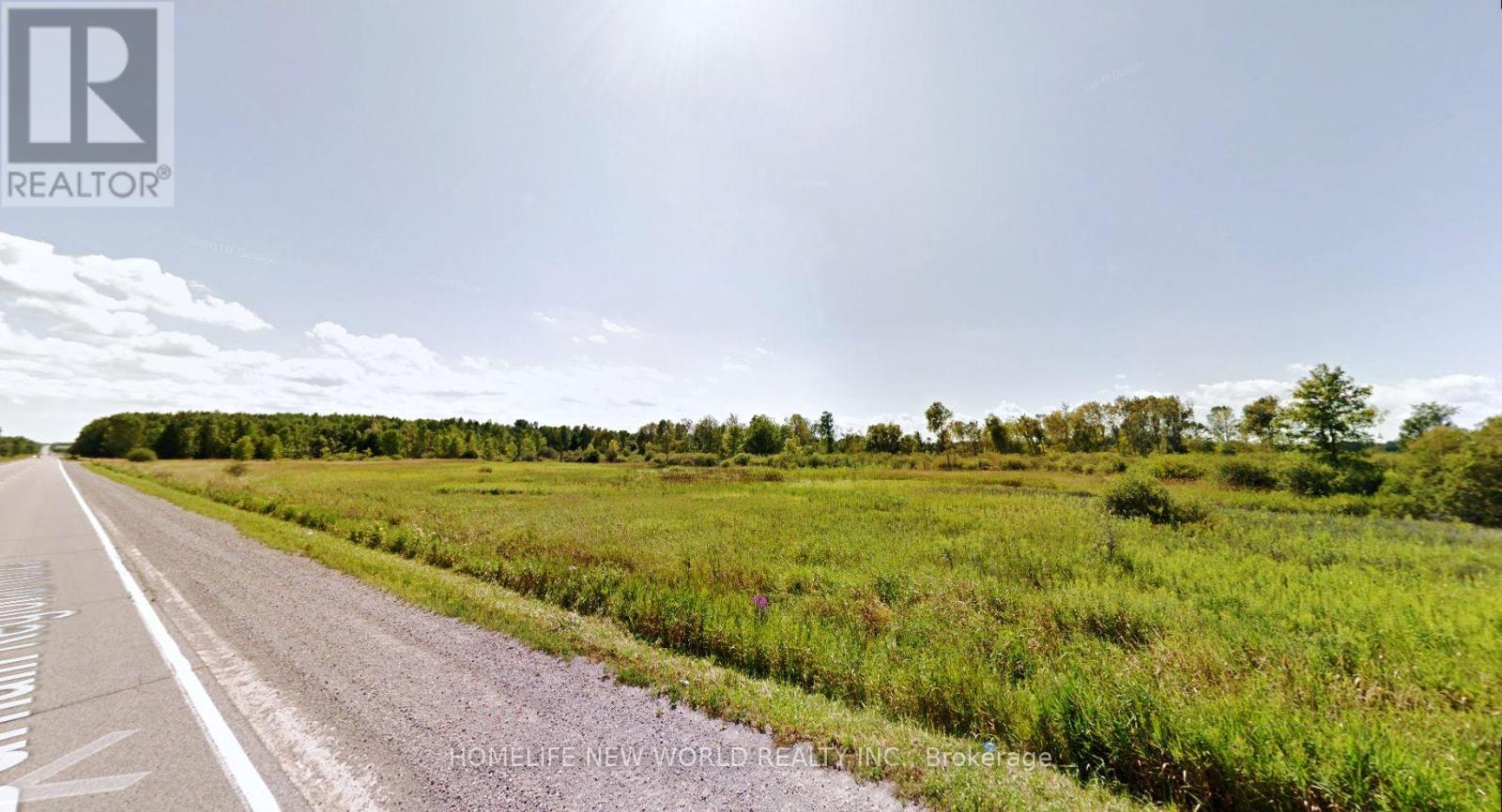24960 Lake Ridge Road, Georgina, Ontario  L0E 1N0 - Photo 5 - N11899231