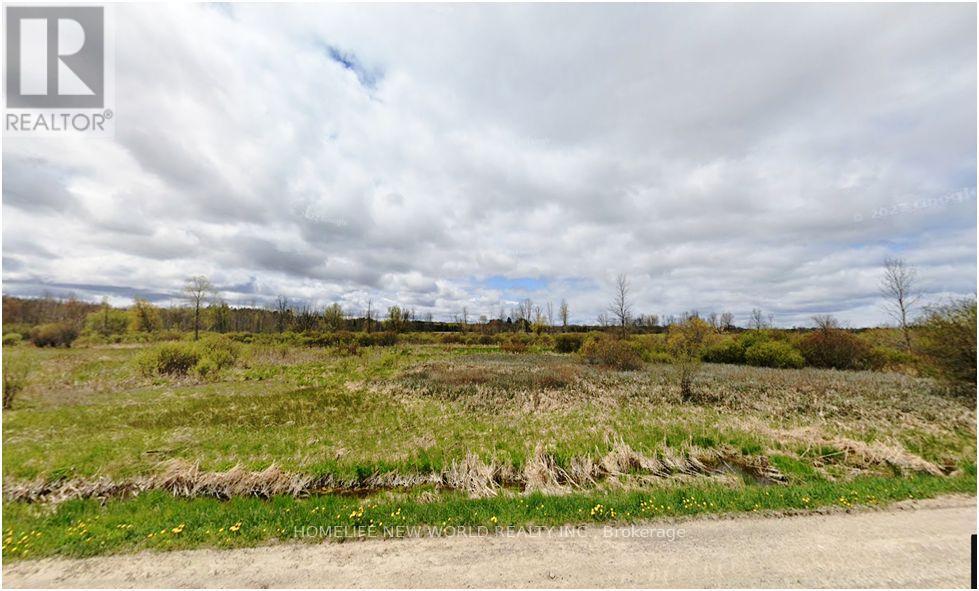 24960 Lake Ridge Road, Georgina, Ontario  L0E 1N0 - Photo 6 - N11899231