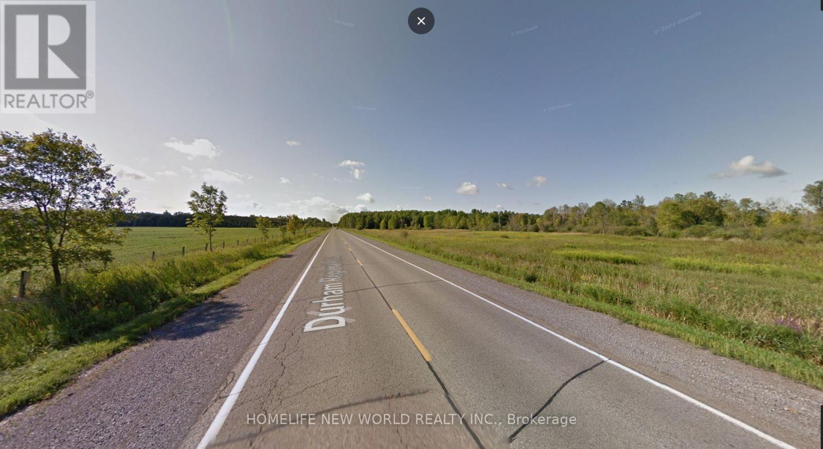 24960 Lake Ridge Road, Georgina, Ontario  L0E 1N0 - Photo 7 - N11899231
