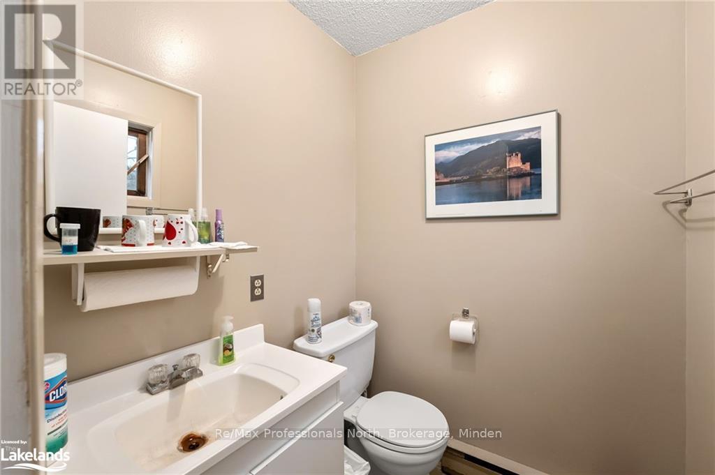 41 Bobcaygeon Road, Minden Hills, Ontario  K0M 1S0 - Photo 9 - X10439412