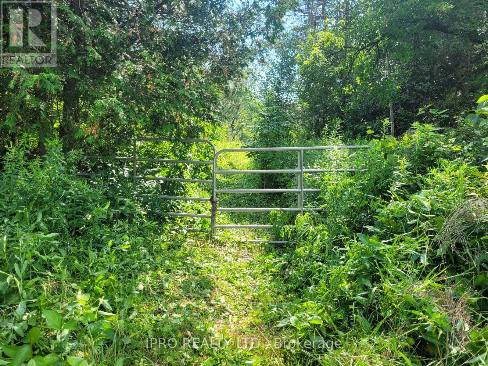 3350 Middle Road, Clarington, Ontario  L1C 3K2 - Photo 3 - E11899206