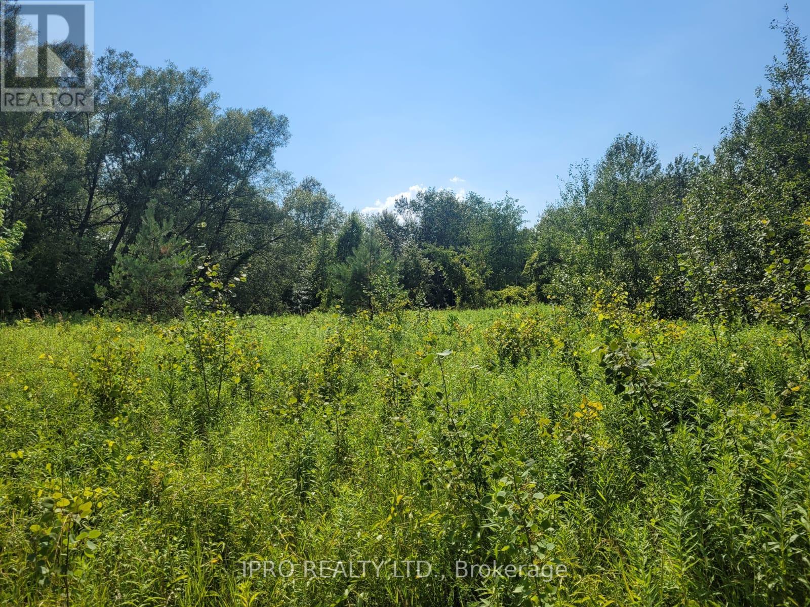 3350 Middle Road, Clarington, Ontario  L1C 3K2 - Photo 4 - E11899206