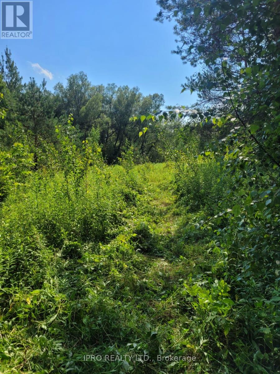 3350 Middle Road, Clarington, Ontario  L1C 3K2 - Photo 6 - E11899206