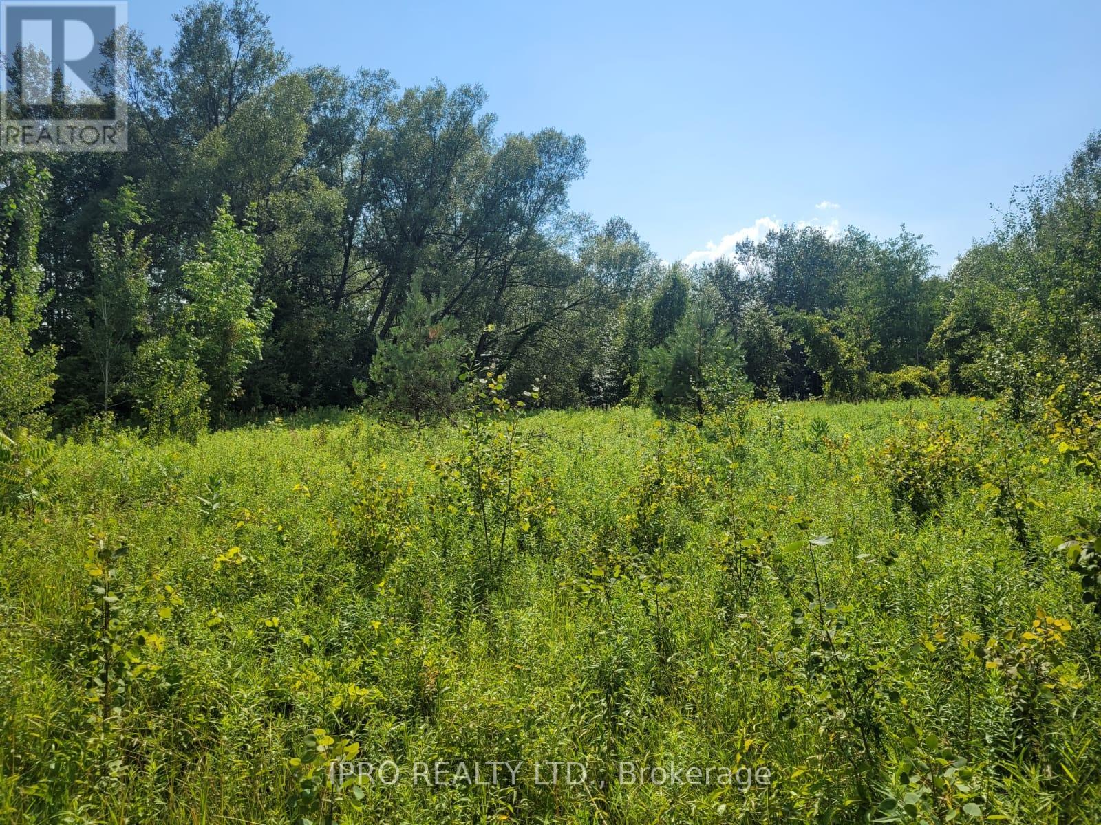 3350 Middle Road, Clarington, Ontario  L1C 3K2 - Photo 8 - E11899206