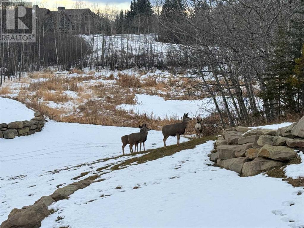 255161 Bearspaw Road, Rural Rocky View County, Alberta  T3R 1B5 - Photo 38 - A2184187