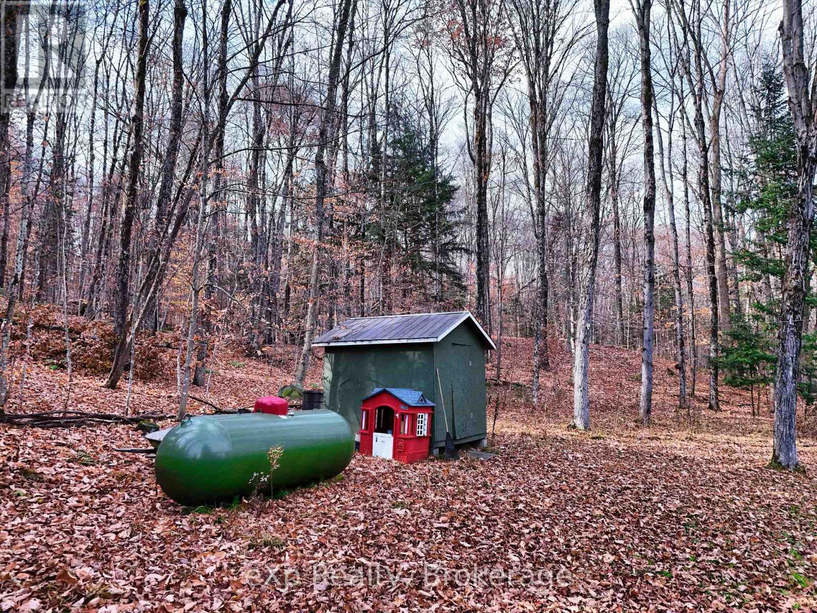 25335 35 Highway, Lake Of Bays, Ontario  P0A 1H0 - Photo 26 - X10438275