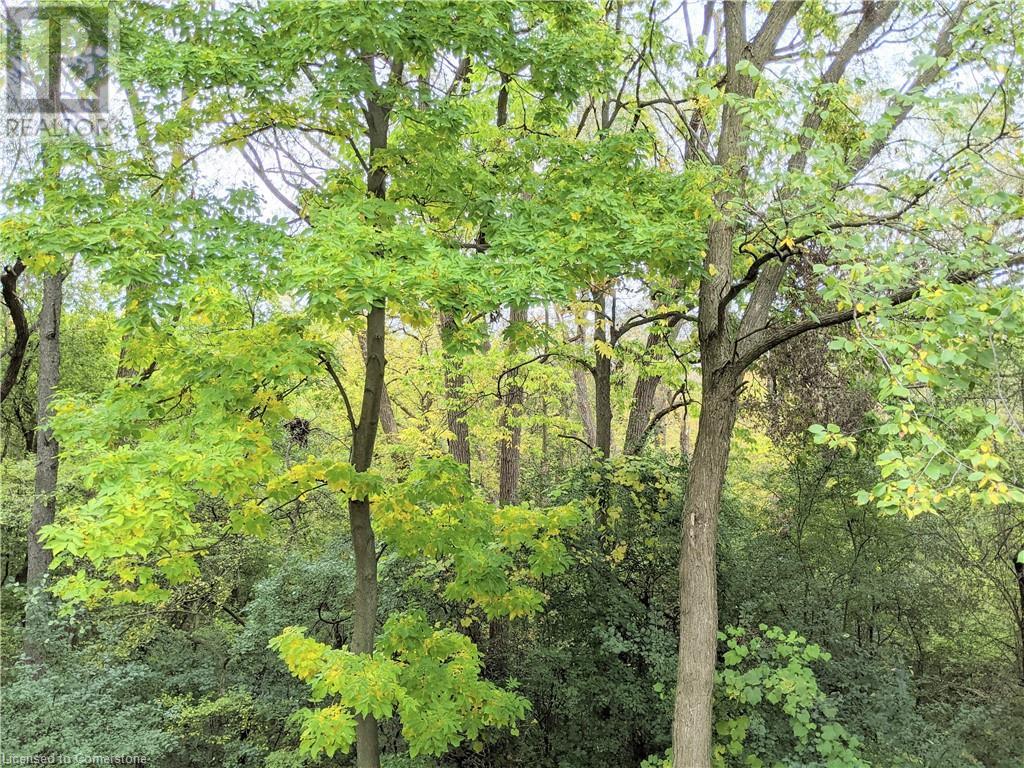 40 Brandy Crescent, Kitchener, Ontario  N2B 3W8 - Photo 4 - 40684528