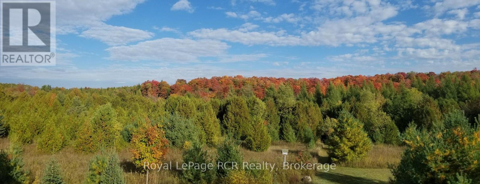 243392 Southgate Rd 24 Road, Southgate, Ontario  N0G 1R0 - Photo 10 - X11892547