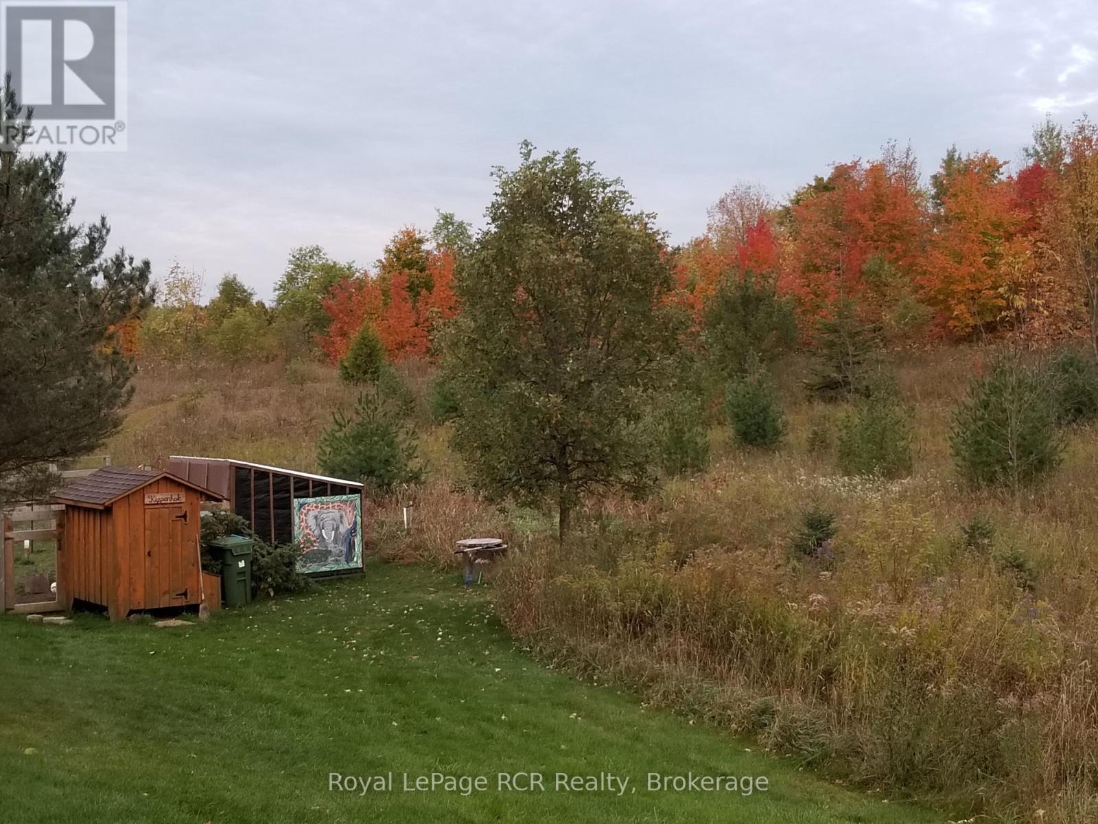 243392 Southgate Rd 24 Road, Southgate, Ontario  N0G 1R0 - Photo 11 - X11892547