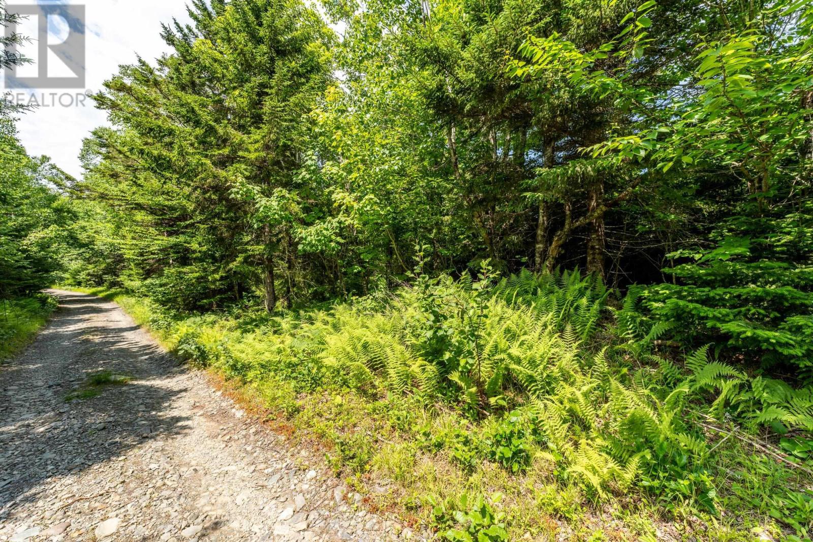 Lot Felix Road, Mayflower, Nova Scotia  B0W 2Y0 - Photo 13 - 202415548