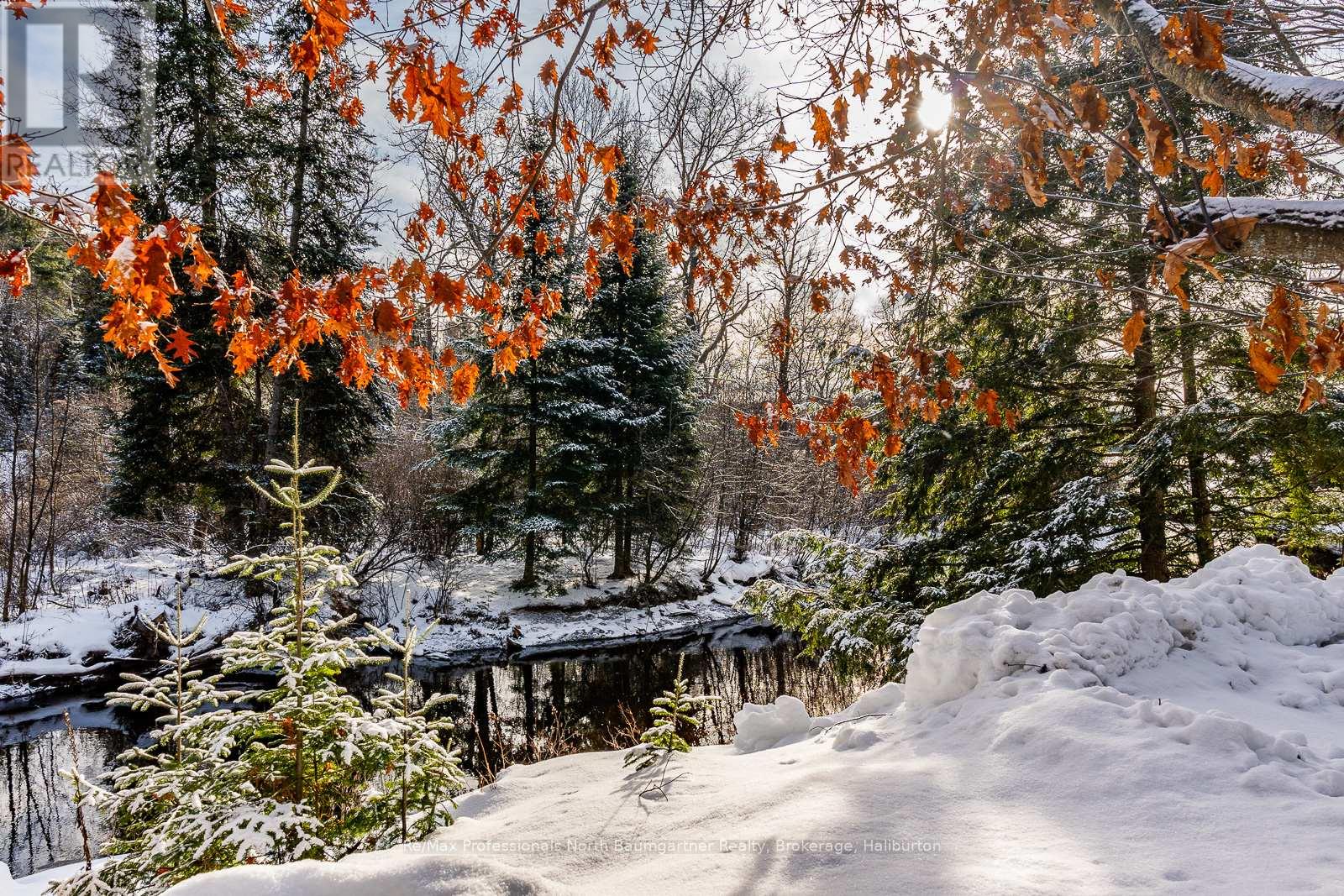 1324 Carroll Road, Dysart Et Al, Ontario  K0M 1S0 - Photo 34 - X10435688