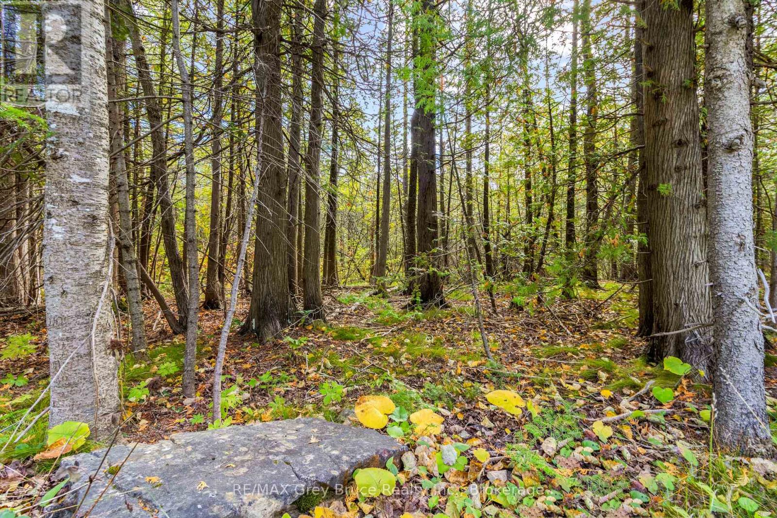 Fm Lt 4 Nicholas Street, Northern Bruce Peninsula, Ontario  N0H 2R0 - Photo 11 - X11900071