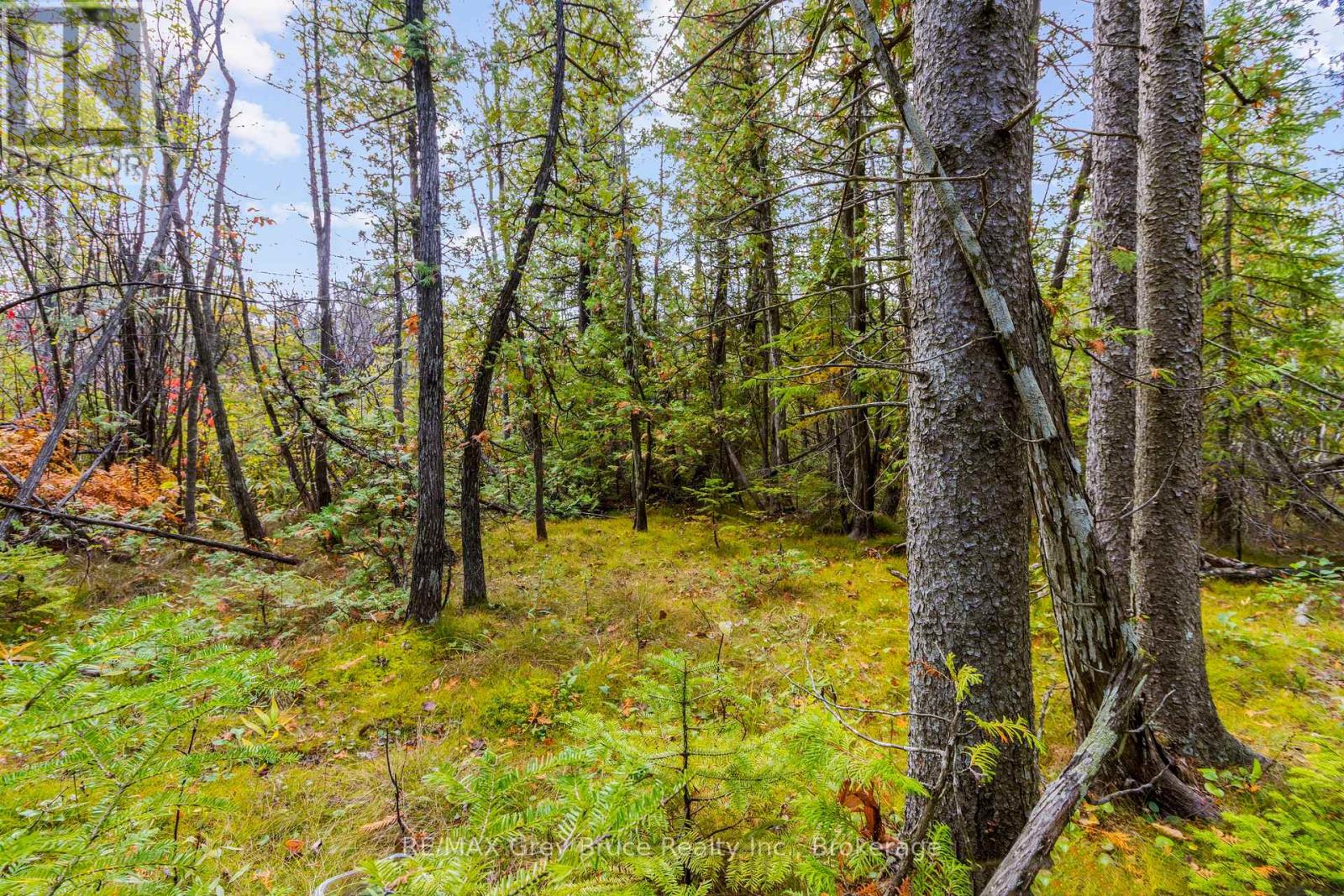 Fm Lt 4 Nicholas Street, Northern Bruce Peninsula, Ontario  N0H 2R0 - Photo 17 - X11900071