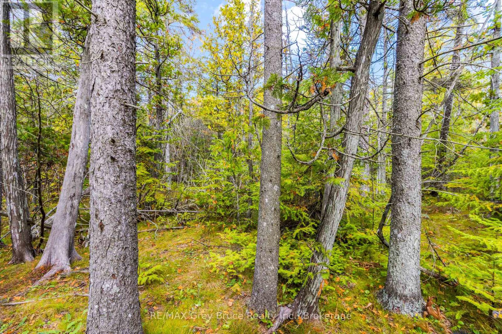 Fm Lt 4 Nicholas Street, Northern Bruce Peninsula, Ontario  N0H 2R0 - Photo 18 - X11900071