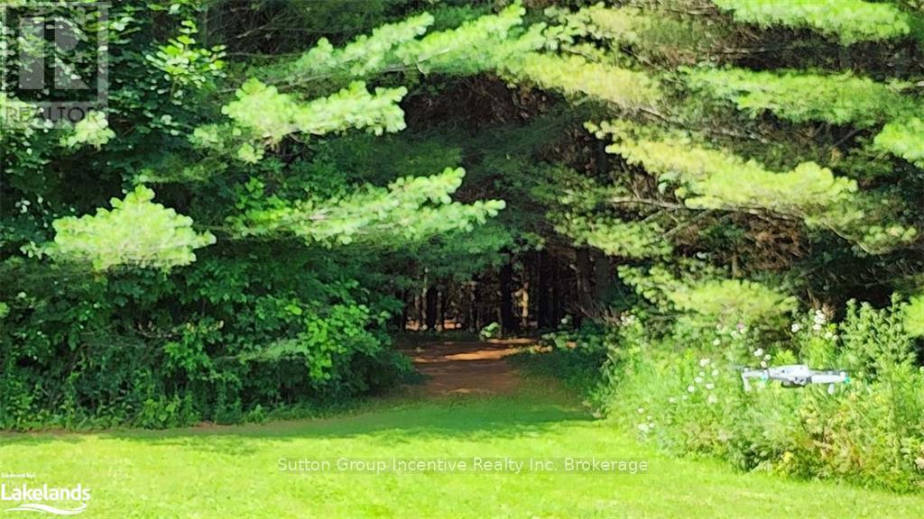 4361 12 S, Ramara, Ontario  L3V 6J6 - Photo 7 - S10438229