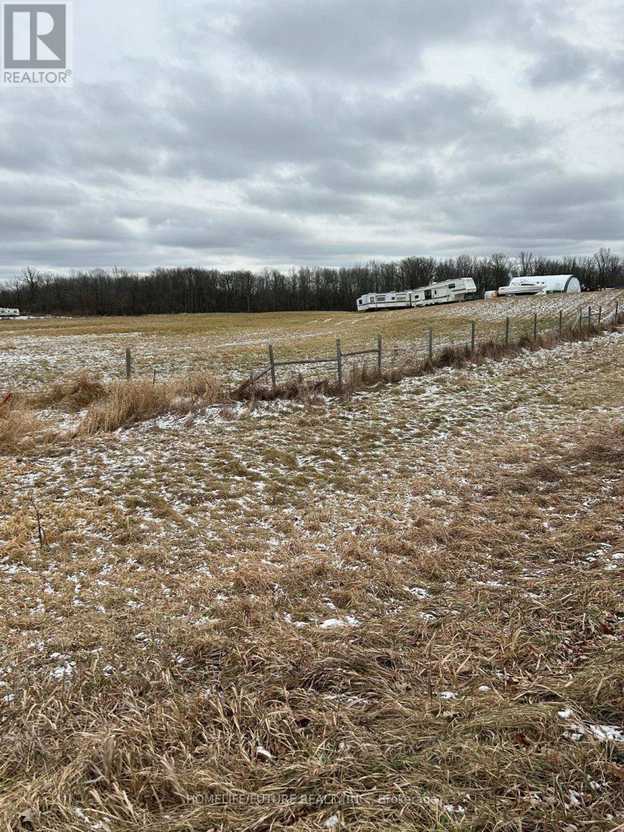 10668 Hwy 62, Centre Hastings, Ontario  K0K 3E0 - Photo 3 - X11897695