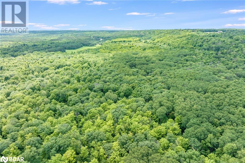 Nw 1/4 Lt 8 Concession 13 E, Tiny, Ontario  L9M 2H7 - Photo 7 - 40666916