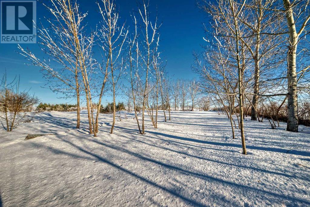 250037 Range Road 250, Rural Wheatland County, Alberta  T1P 1K5 - Photo 3 - A2183318