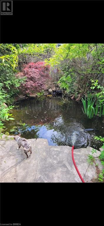 75 St George Street, Brantford, Ontario  N3R 1V5 - Photo 20 - 40679793