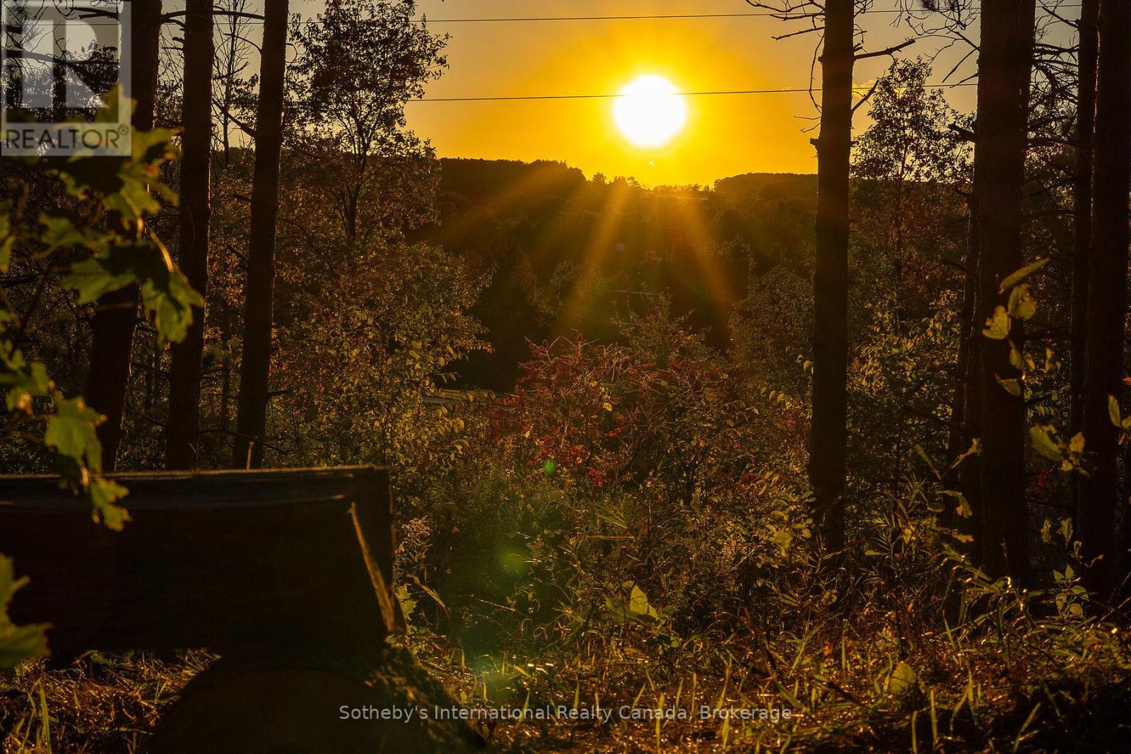 587318 10 Sideroad, Mulmur, Ontario  L9V 0S3 - Photo 40 - X10406343