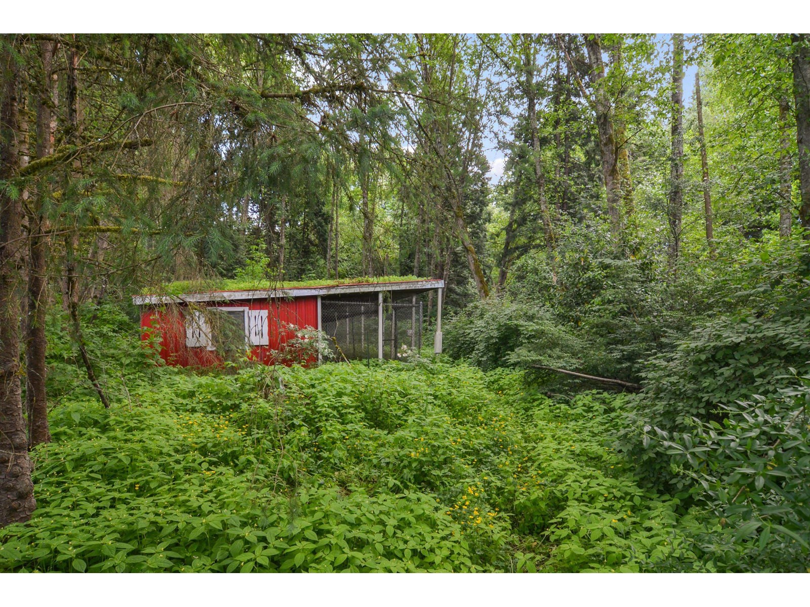 320 192 Street, Surrey, British Columbia  V3S 9R9 - Photo 30 - R2951426