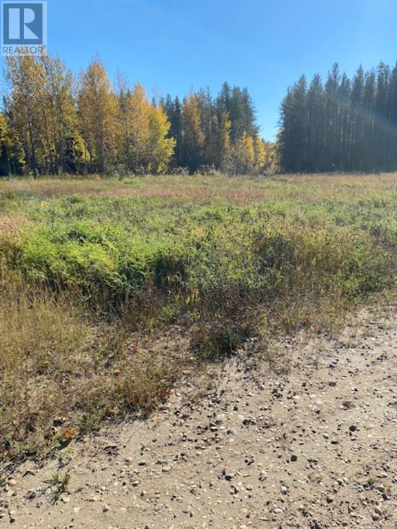 Lot 32 Flats Road Road, Whitecourt, Alberta  T7S 0E5 - Photo 3 - A1259389