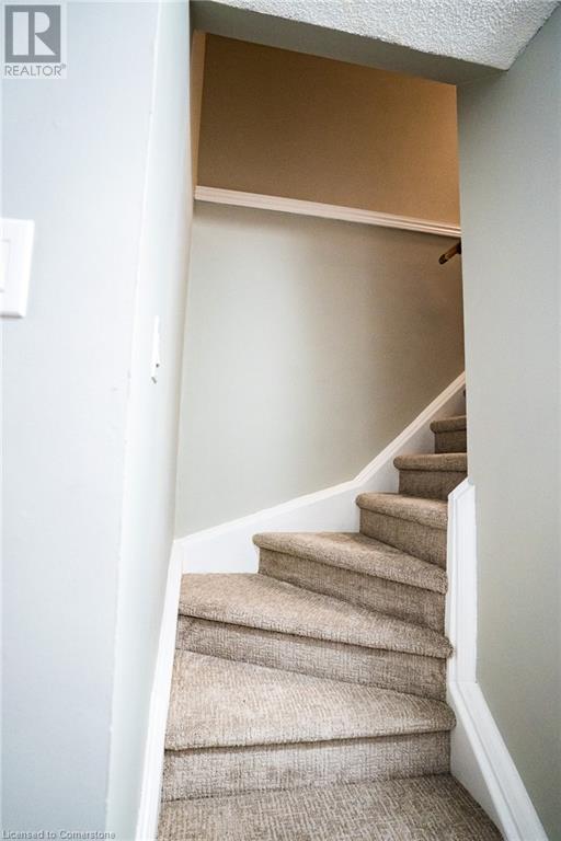 22 Carmine CrescentCambridge, Ontario  N3C 3Z1 - Photo 19 - 40686197