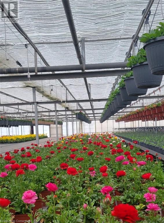 234, 228 Read Road, St. Catharines, Ontario  L2R 7K6 - Photo 40 - XH4187401