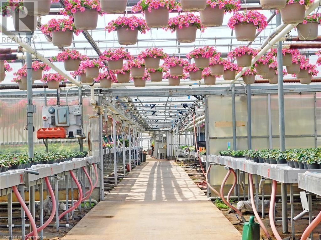 234, 228 Read Road, St. Catharines, Ontario  L2R 7K6 - Photo 8 - XH4187401