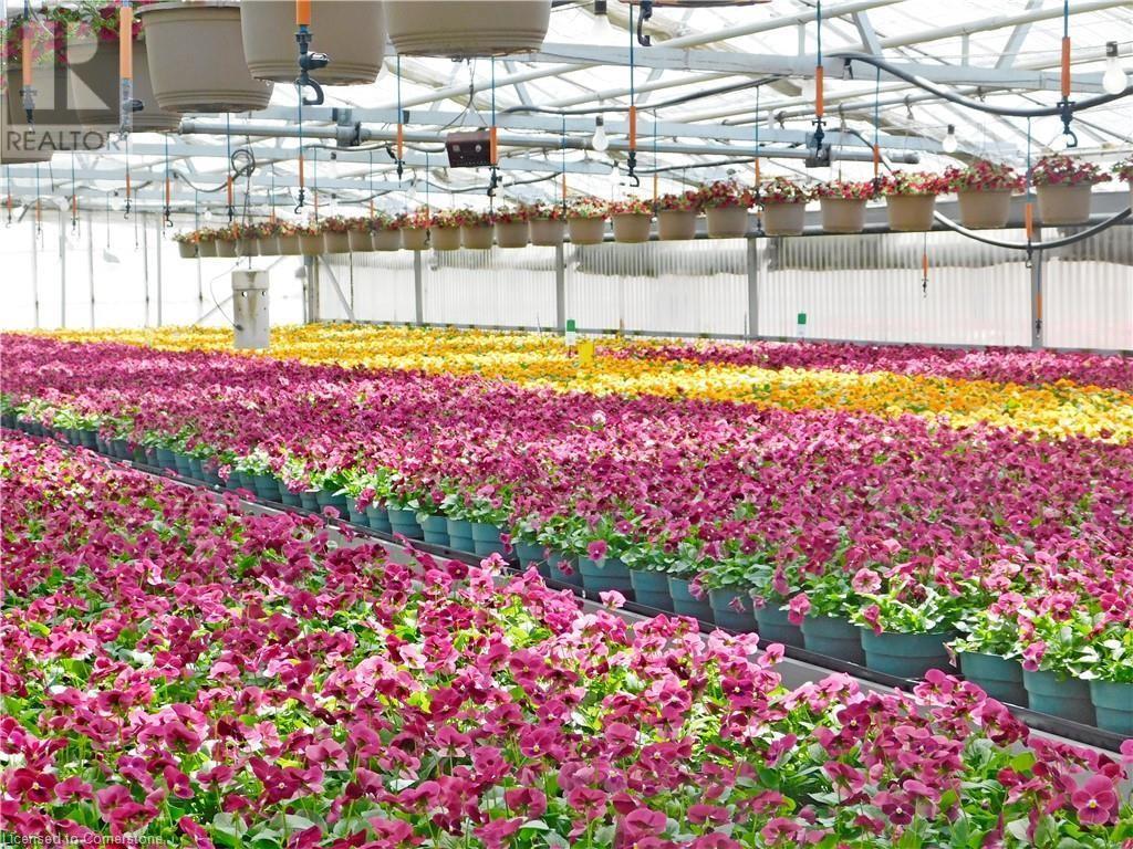 234, 228 Read Road, St. Catharines, Ontario  L2R 7K6 - Photo 12 - XH4187422