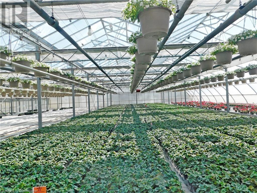 234, 228 Read Road, St. Catharines, Ontario  L2R 7K6 - Photo 15 - XH4187422