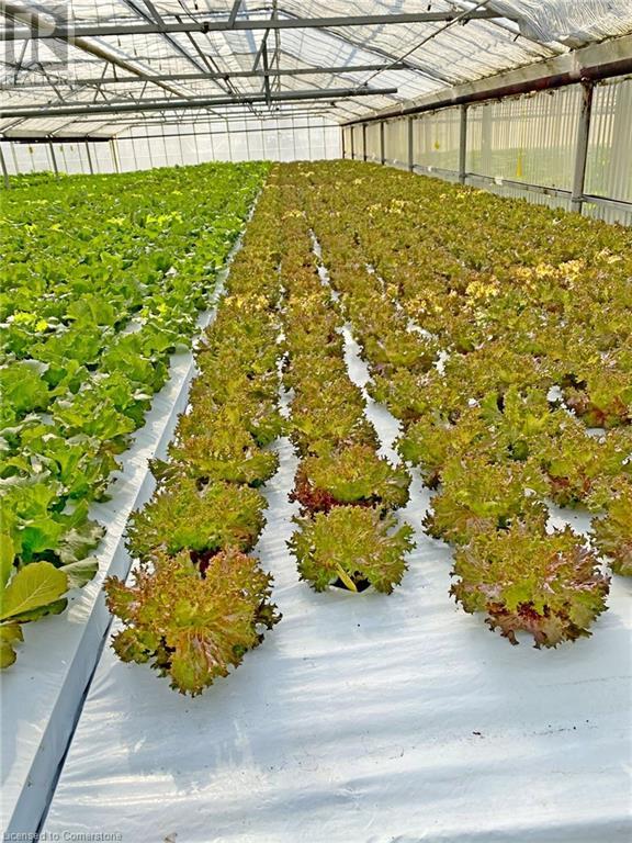 234, 228 Read Road, St. Catharines, Ontario  L2R 7K6 - Photo 25 - XH4187422