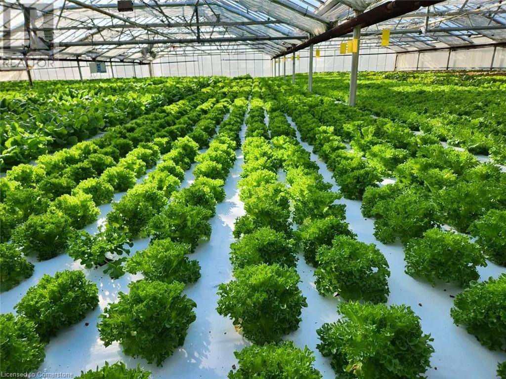 234, 228 Read Road, St. Catharines, Ontario  L2R 7K6 - Photo 3 - XH4187422