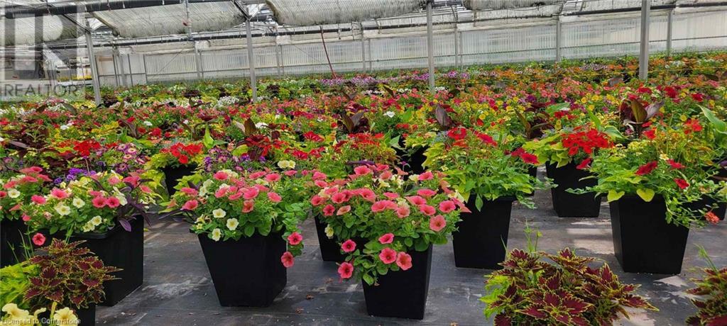 234, 228 Read Road, St. Catharines, Ontario  L2R 7K6 - Photo 35 - XH4187422