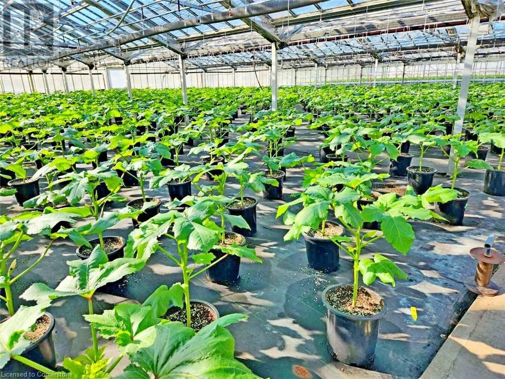 234, 228 Read Road, St. Catharines, Ontario  L2R 7K6 - Photo 26 - XH4187422