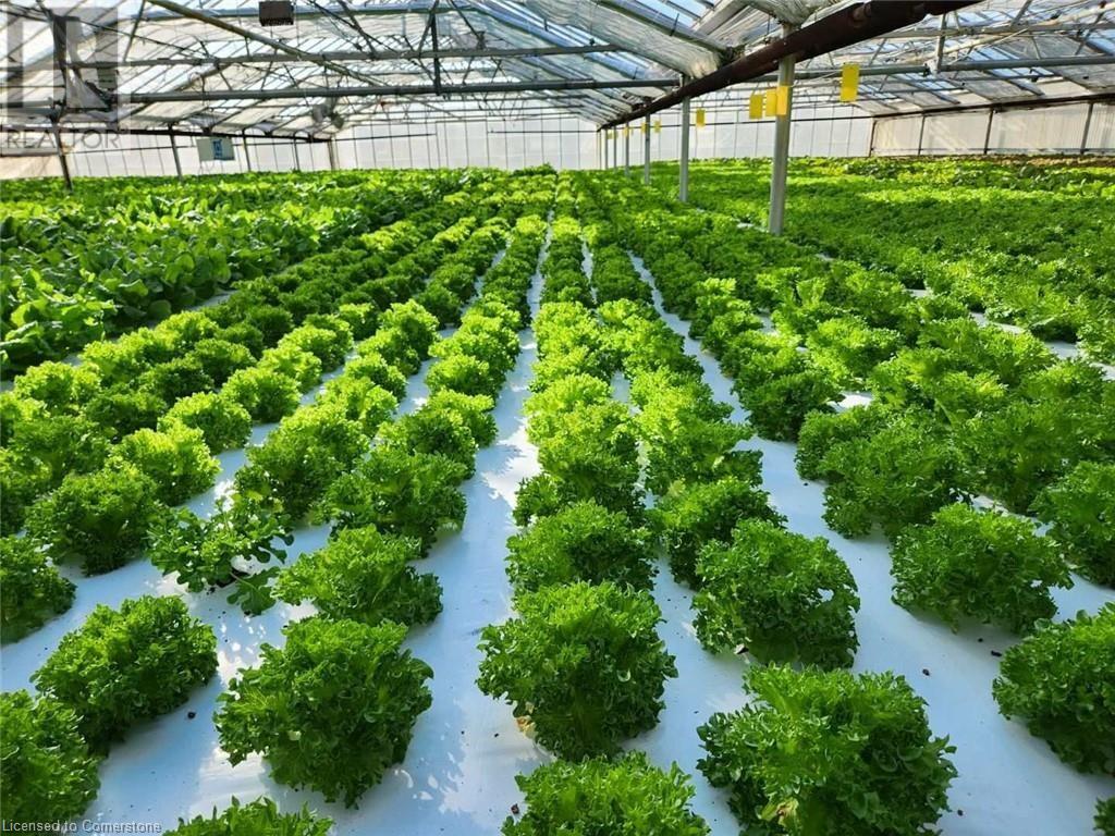 234, 228 Read Road, St. Catharines, Ontario  L2R 7K6 - Photo 33 - XH4187422