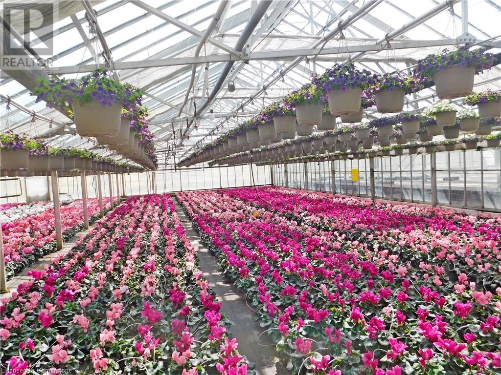 234, 228 Read Road, St. Catharines, Ontario  L2R 7K6 - Photo 2 - XH4187422