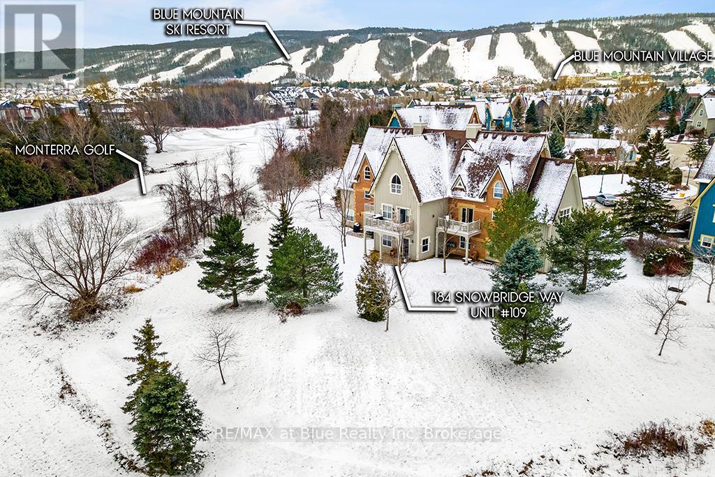 109 - 184 Snowbridge Way, Blue Mountains, Ontario  L9Y 3Z2 - Photo 4 - X11900806