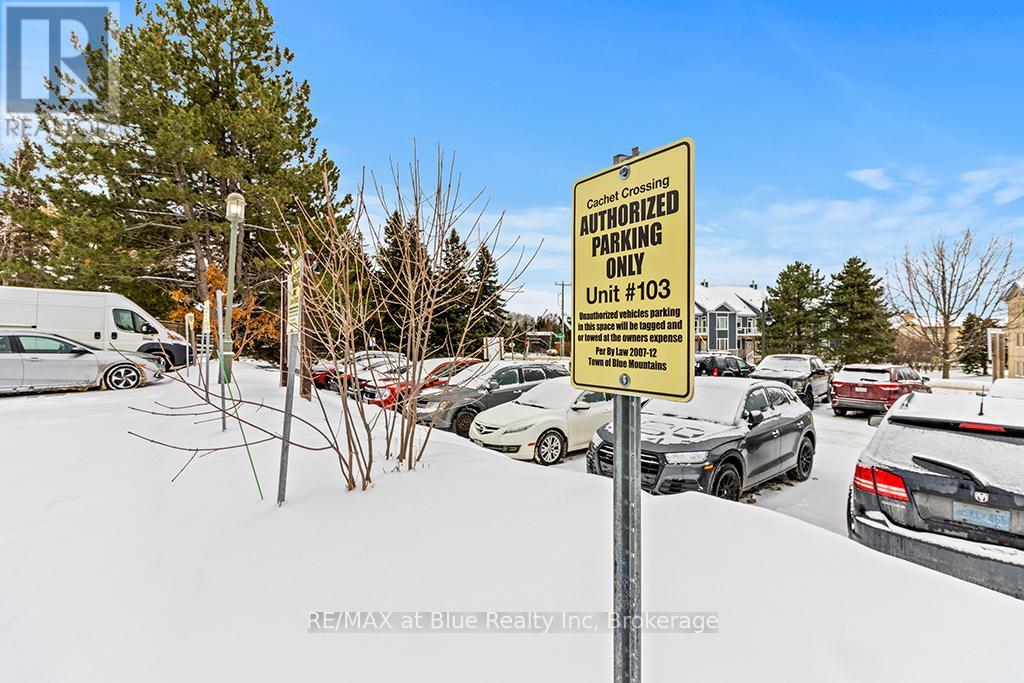 103 - 107 Ann Heggtveit Drive, Blue Mountains, Ontario  L9Y 0P7 - Photo 35 - X11900841