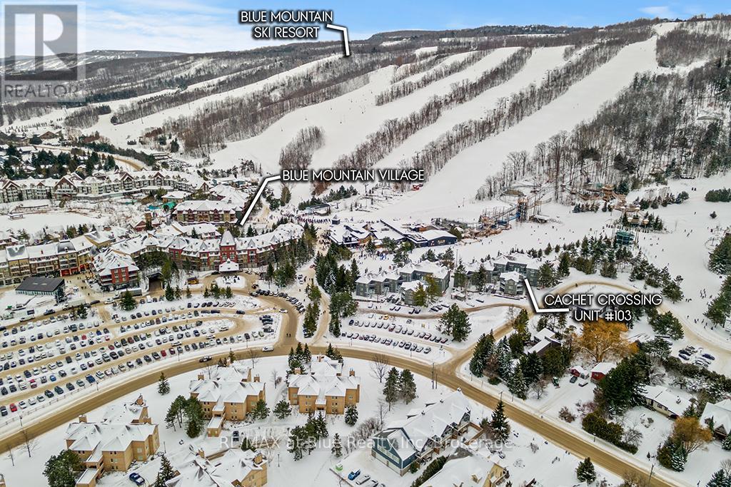 103 - 107 Ann Heggtveit Drive, Blue Mountains, Ontario  L9Y 0P7 - Photo 4 - X11900841