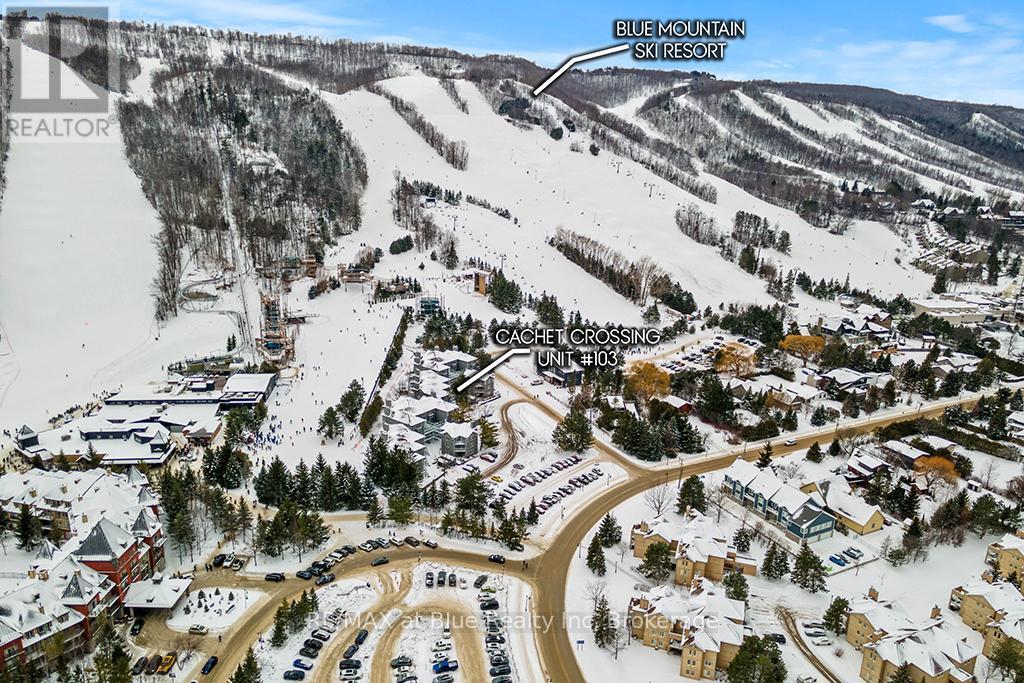 103 - 107 Ann Heggtveit Drive, Blue Mountains, Ontario  L9Y 0P7 - Photo 5 - X11900841