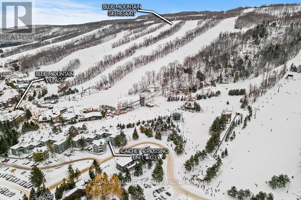 103 - 107 Ann Heggtveit Drive, Blue Mountains, Ontario  L9Y 0P7 - Photo 6 - X11900841