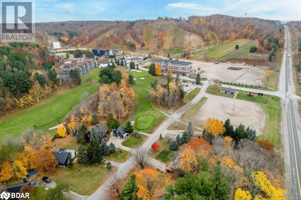 12 Birch Grove Drive, Horseshoe Valley, Ontario  L4M 4Y8 - Photo 44 - 40669181