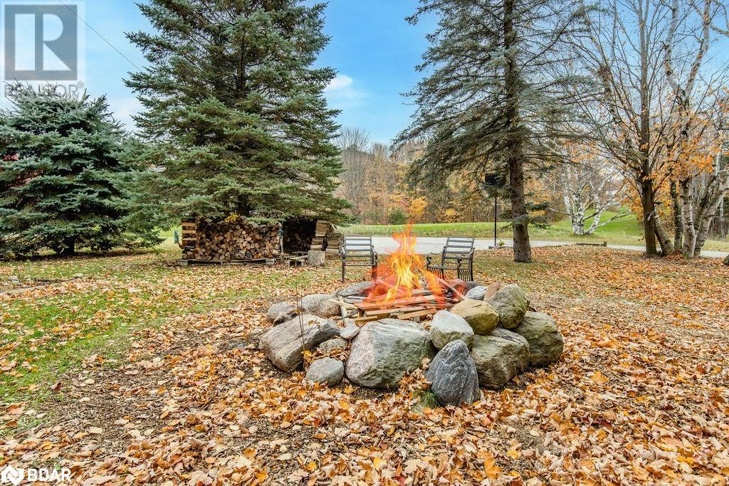 12 Birch Grove Drive, Horseshoe Valley, Ontario  L4M 4Y8 - Photo 47 - 40669181