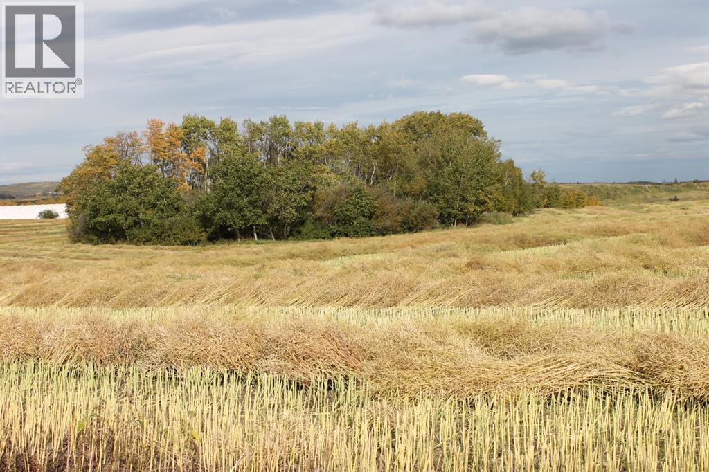 Lorem Ipsum Dol, Sexsmith, Alberta  T0H  - Photo 13 - DEMO23868955