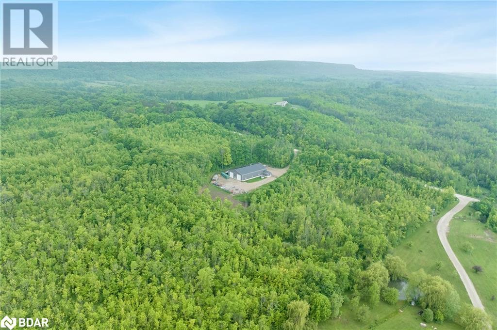 245350 Sideroad 22, Meaford, Ontario  N4L 1W5 - Photo 14 - 40686478