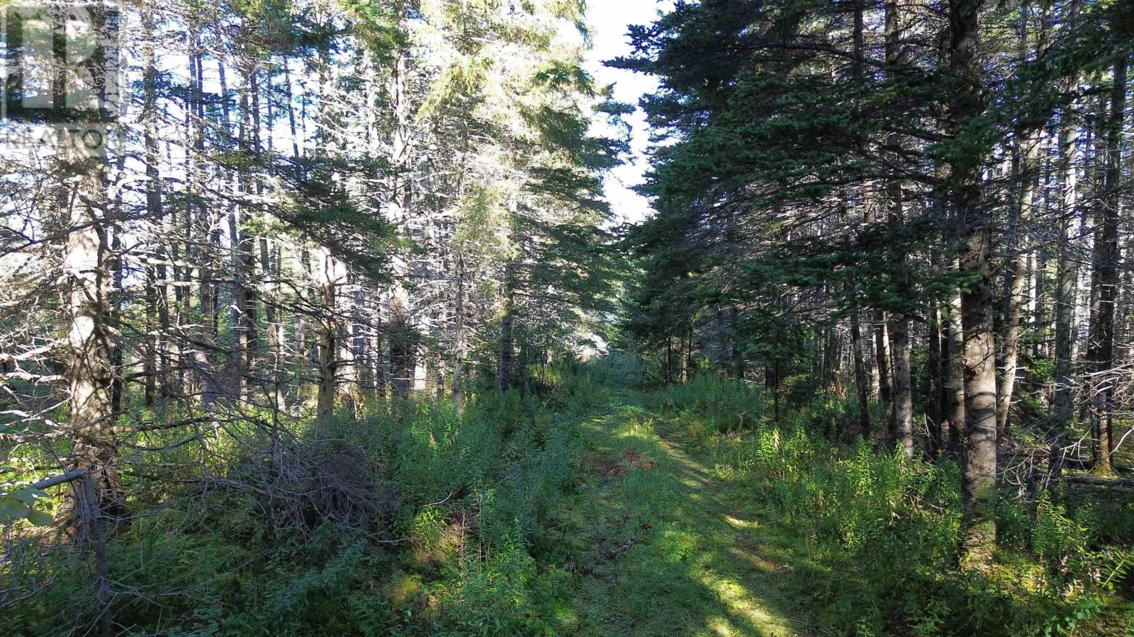 #4 Highway, St. Peter's, Nova Scotia  B0E 3B0 - Photo 4 - 202123225